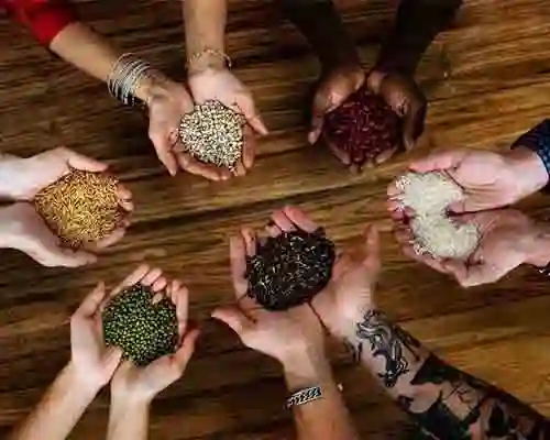 Indigenous Economic Exchange